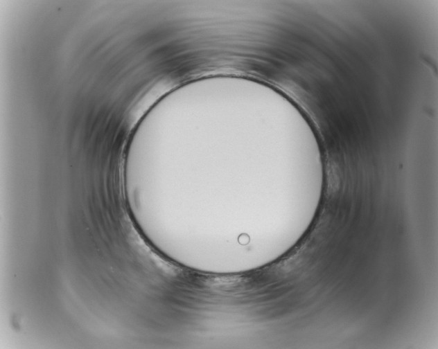 X0000098141290200805151130