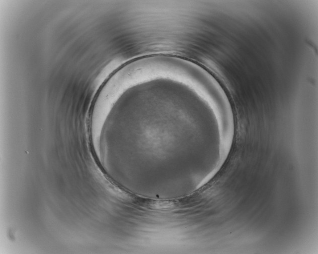 X0000098141291200805151130