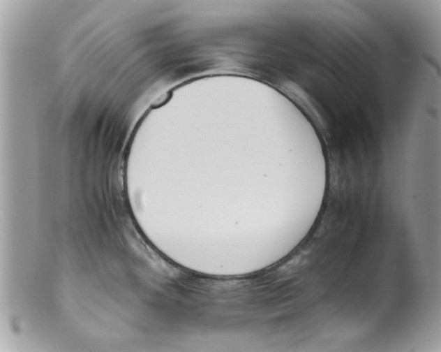 X0000098141292200805151130