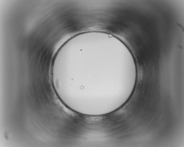 X0000098141294200805151130