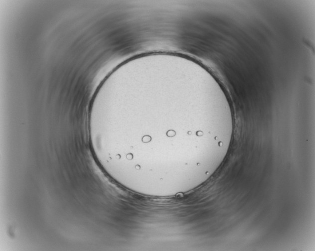 X0000098141295200805151130