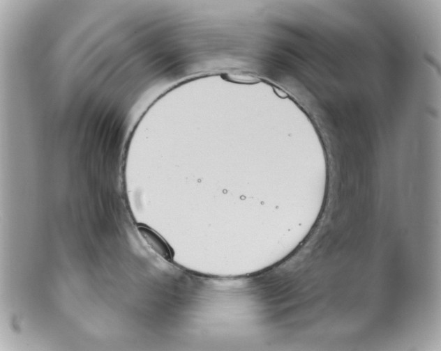 X0000098141296200805151130