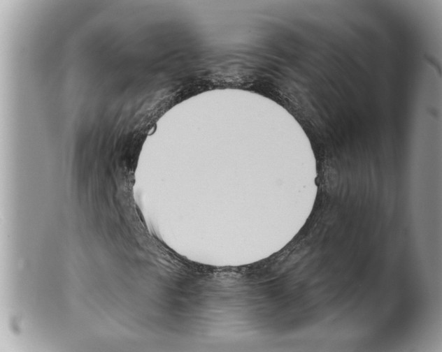 X0000098141297200805151130