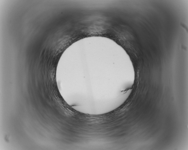 X0000098141300200805151130