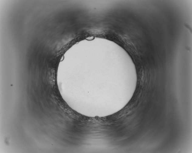 X0000098141301200805151130