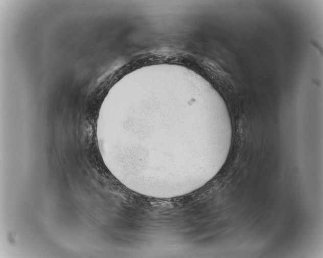 X0000098141302200805151130