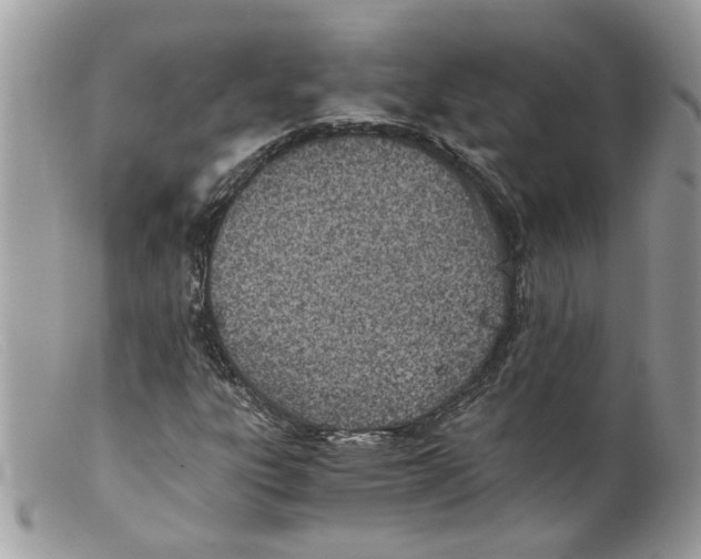 X0000098141303200805151130