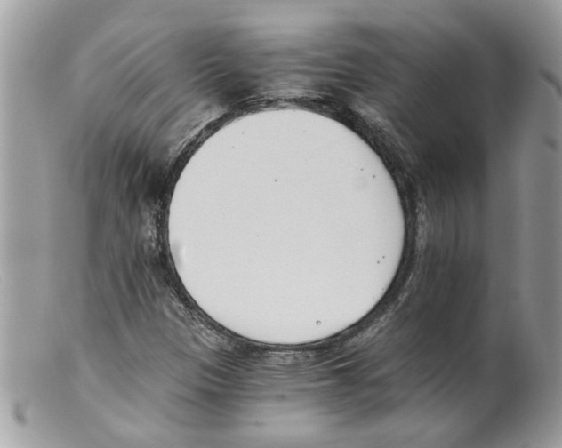 X0000098141305200805151130