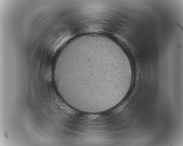 X0000098141306200805151130