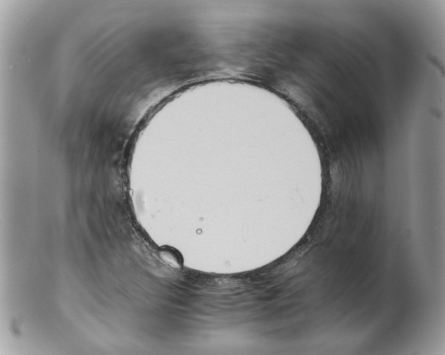 X0000098141308200805151130