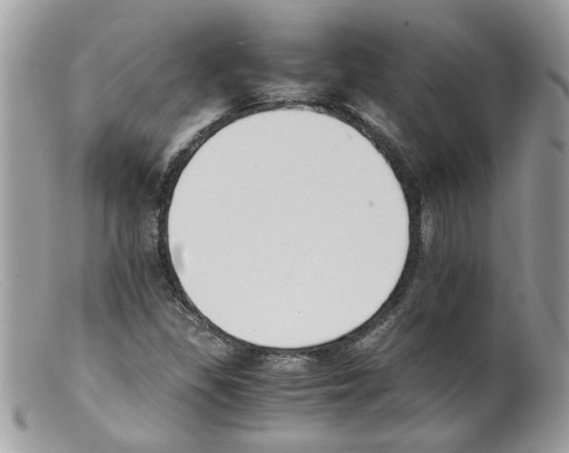 X0000098141309200805151130