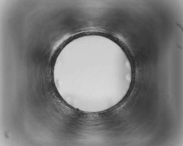 X0000098141310200805151130