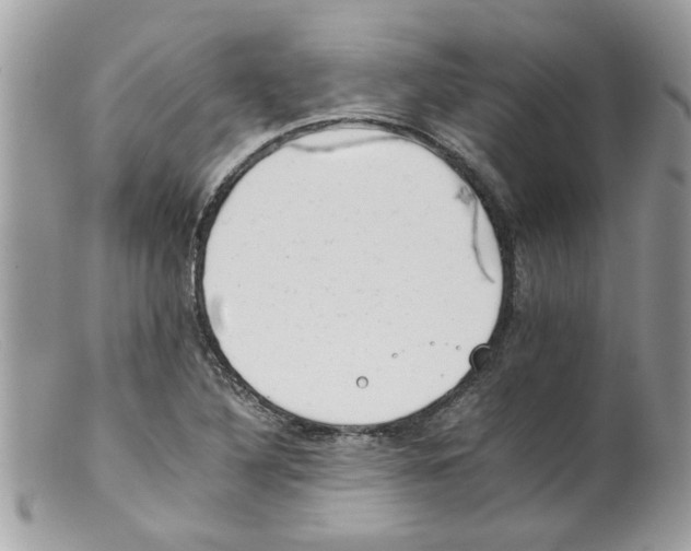 X0000098141316200805151130