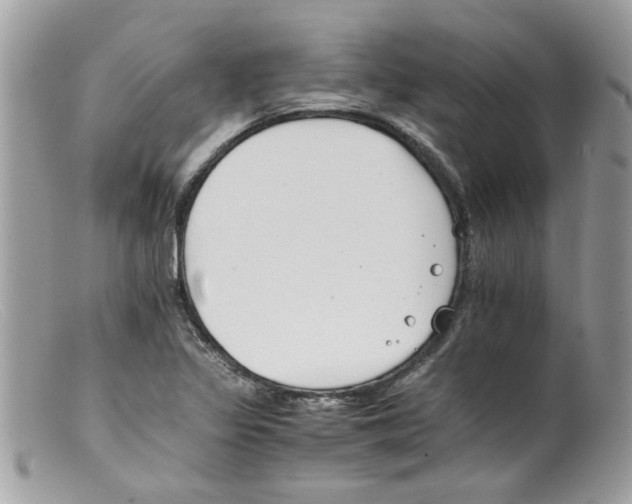 X0000098141317200805151130