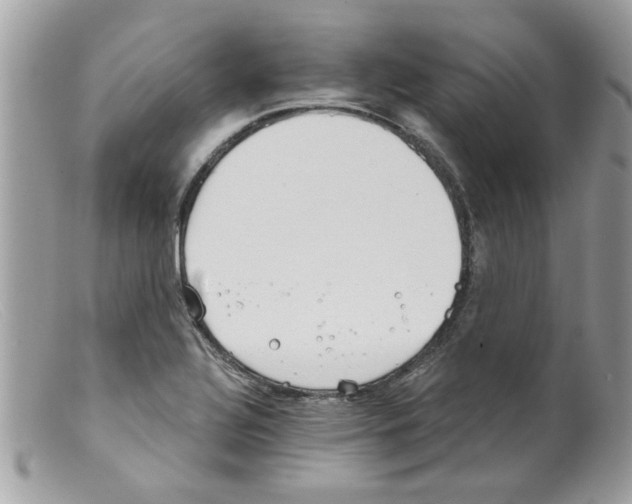 X0000098141320200805151130