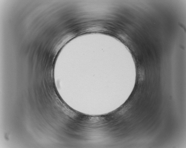 X0000098141322200805151130