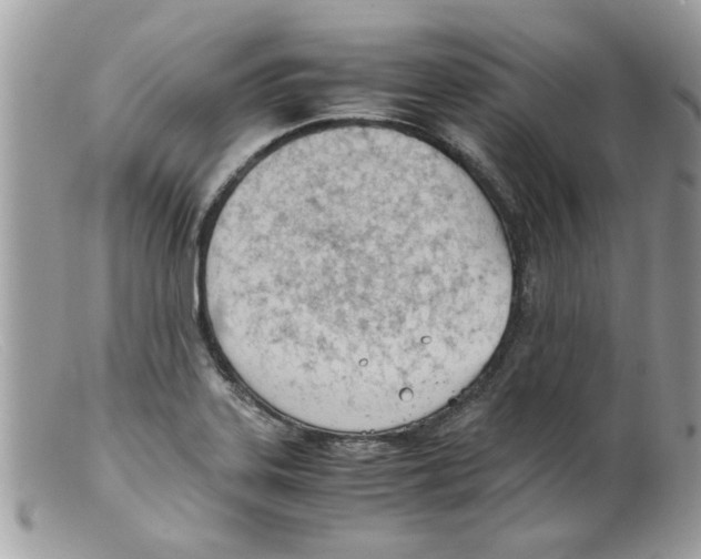 X0000098141323200805151130