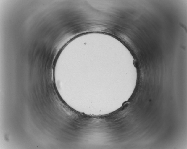 X0000098141324200805151130