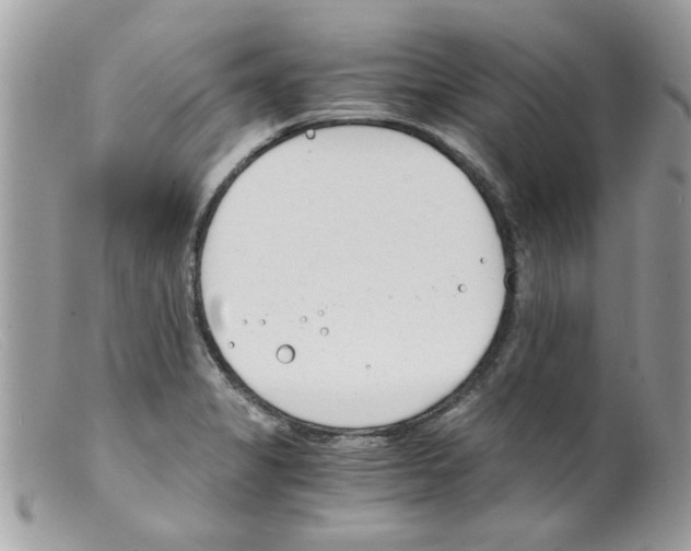 X0000098141325200805151130