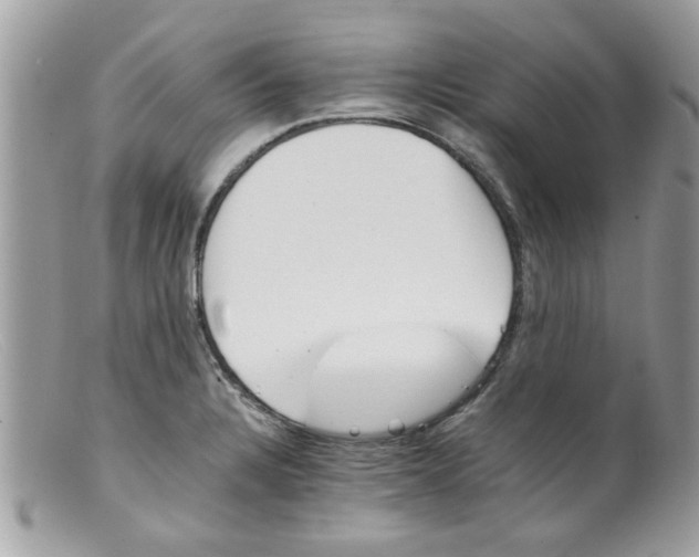 X0000098141328200805151130