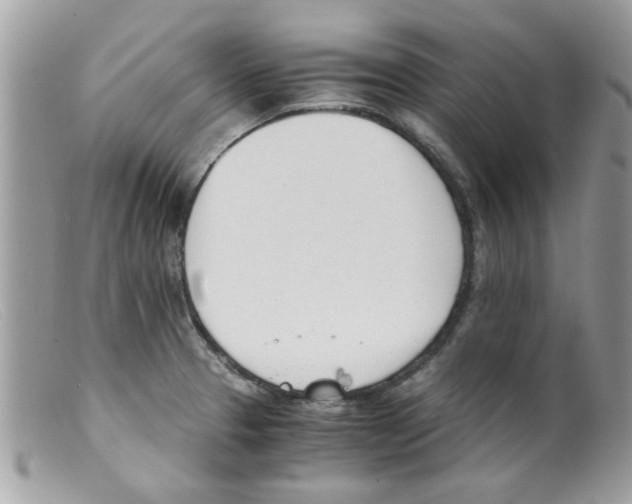 X0000098141329200805151130