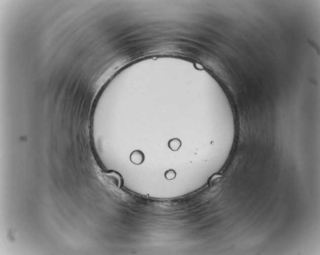 X0000098141330200805151130