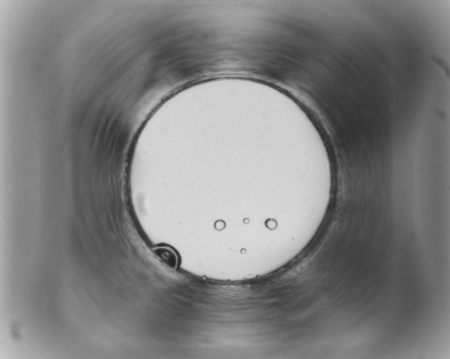 X0000098141333200805151130