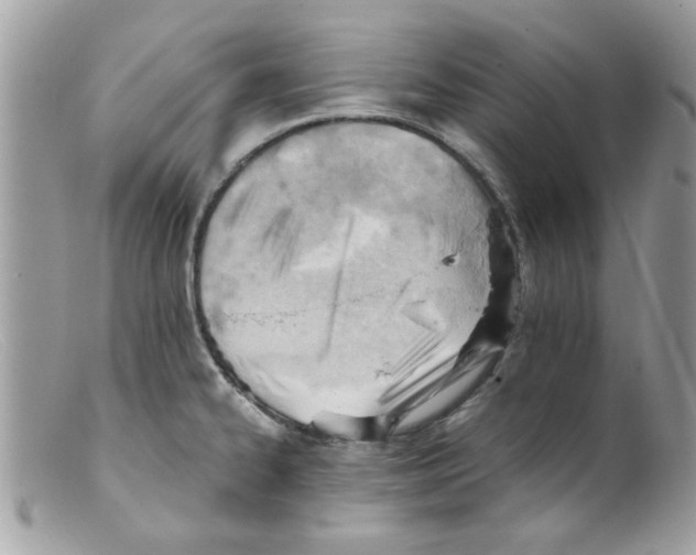 X0000098141334200805151130