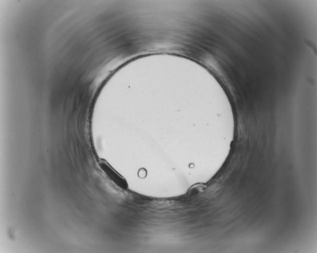 X0000098141336200805151130