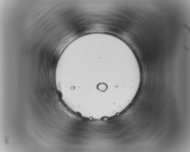 X0000098141337200805151130