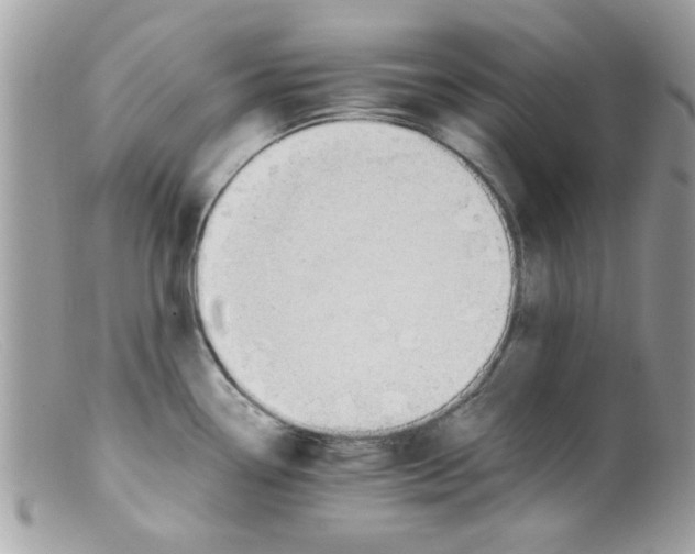 X0000098141338200805151130