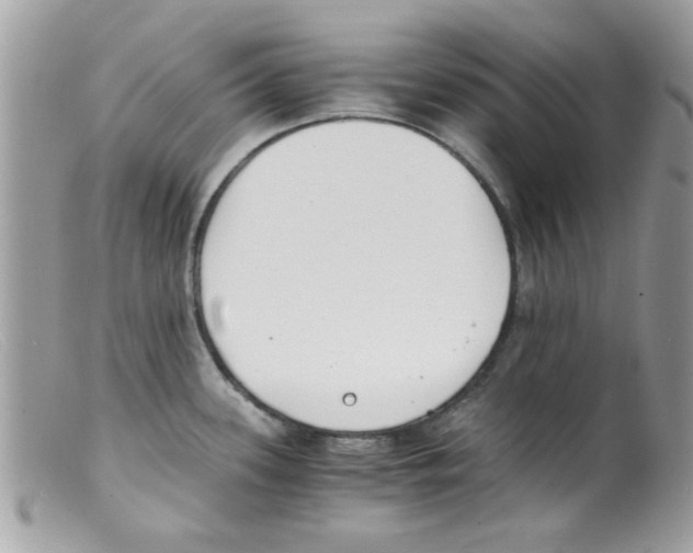 X0000098141339200805151130