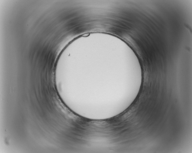 X0000098141340200805151130