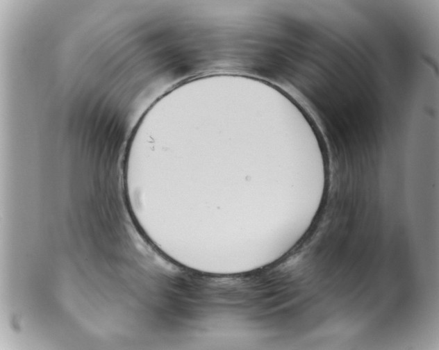 X0000098141341200805151130