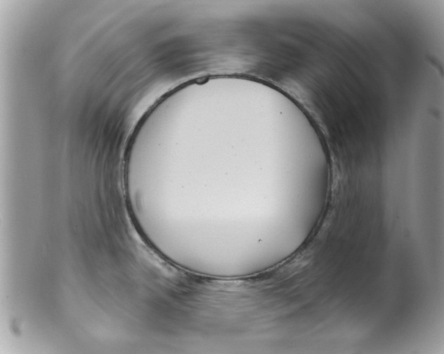 X0000098141342200805151130