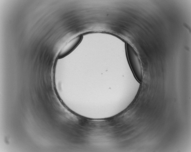 X0000098141343200805151130