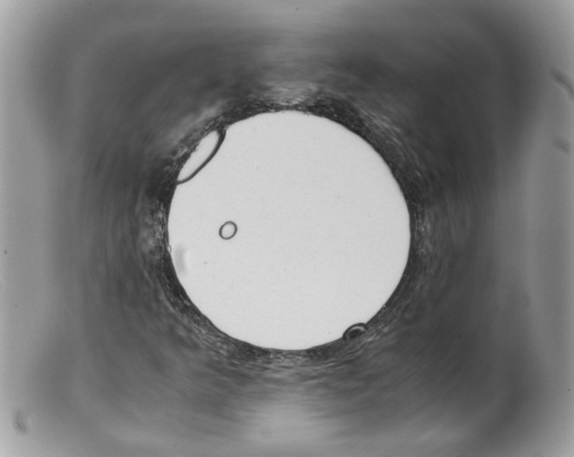 X0000098141349200805151130