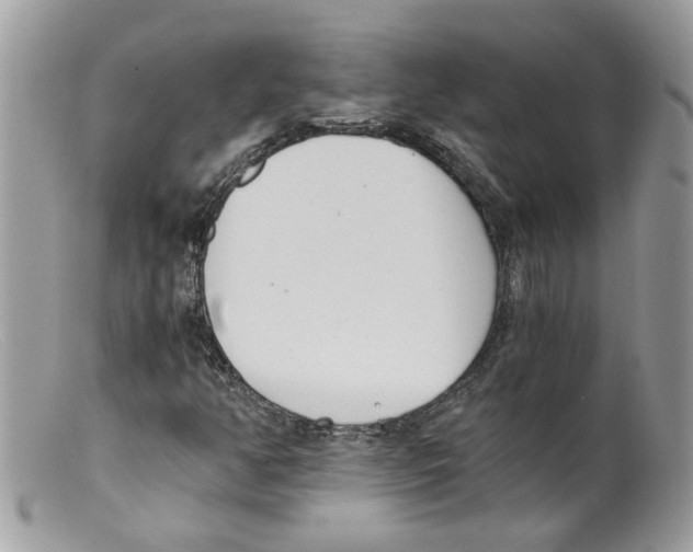 X0000098141350200805151130