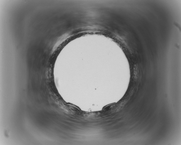 X0000098141352200805151130