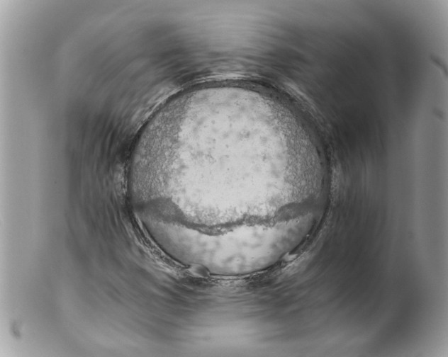 X0000098141353200805151130