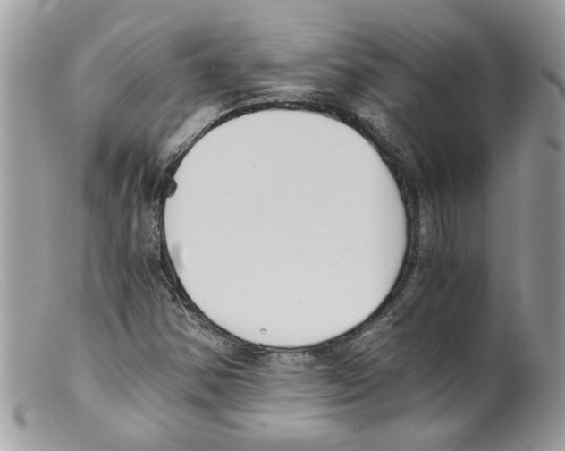 X0000098141354200805151130