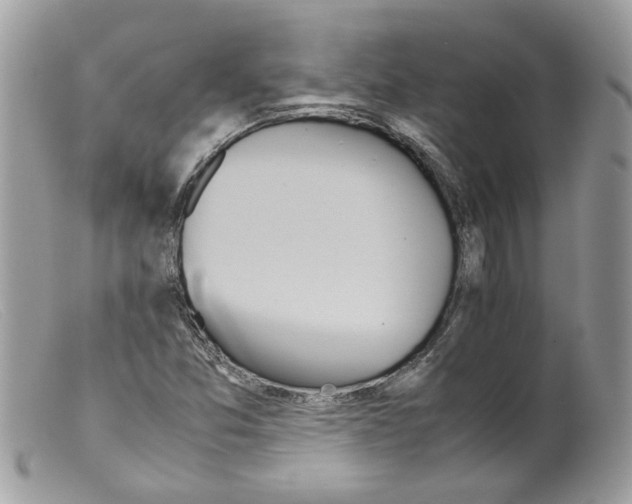 X0000098141357200805151130