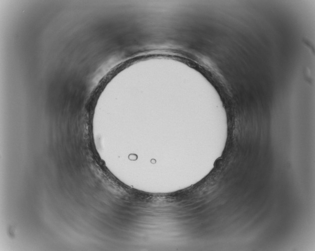 X0000098141360200805151130