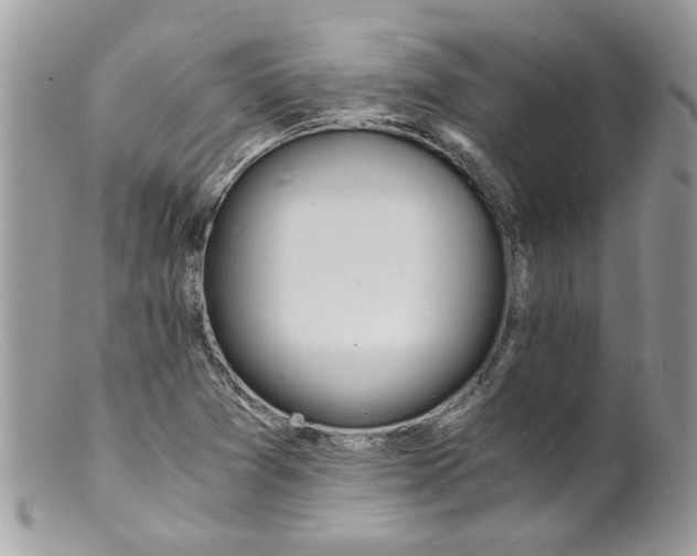 X0000098141361200805151129