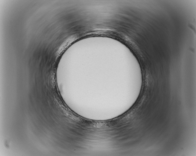 X0000098141362200805151129