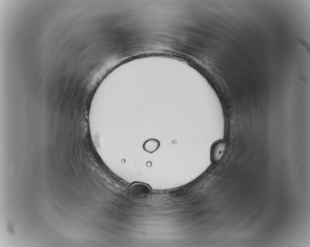 X0000098141363200805151129