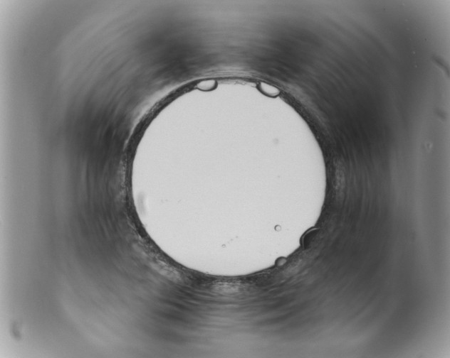 X0000098141364200805151129