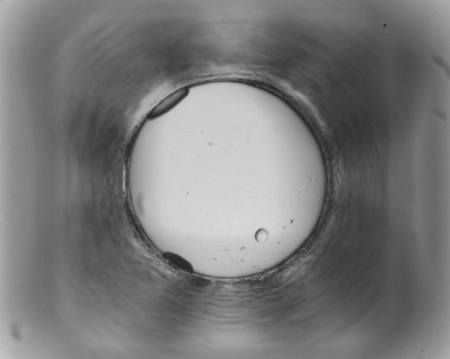 X0000098141365200805151129