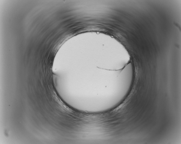 X0000098141369200805151129