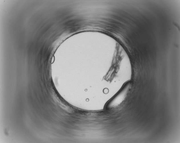 X0000098141371200805151129